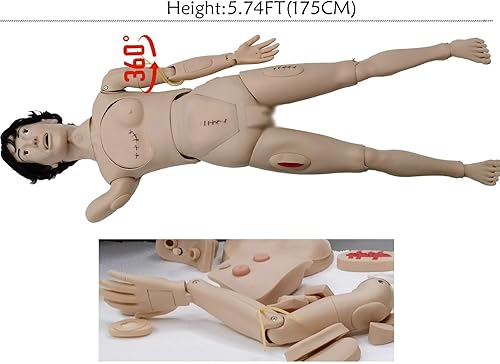Miniatura 4 de Enfermería Cuidado del Paciente Trauma Maniquí Entrenamiento de Heridas Maniquí Lifesize Entrenamiento Médico Habilidades de Enfermería para la