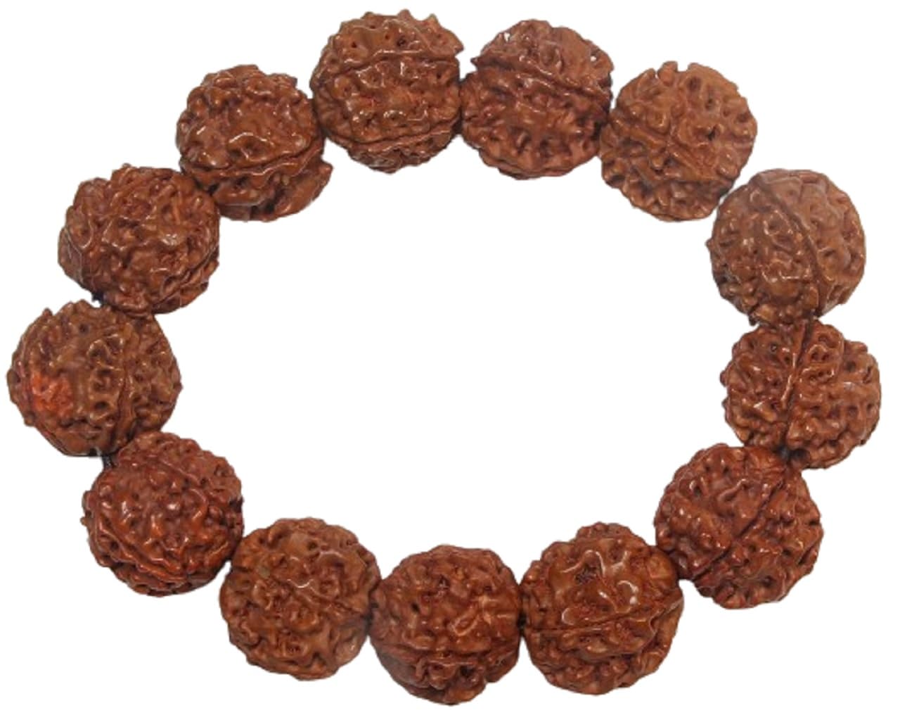 Amazon | [龍香堂] ◎金剛菩提樹の実（ルドラクシャ