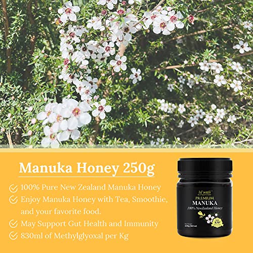 Hi Well Premium Manuka 100% Nueva Zelanda 250g miniatura 3