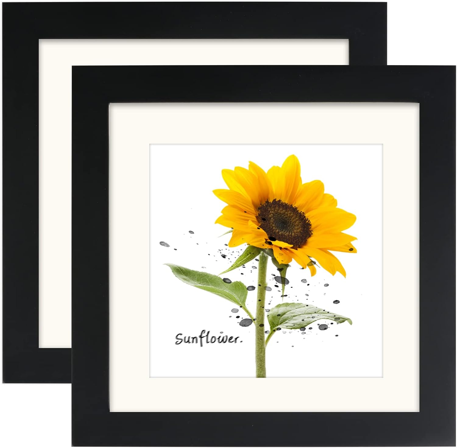 AVEAX 6x6 black Square Picture Frames Set of 2 Classic Natural Wood Photo Frame for