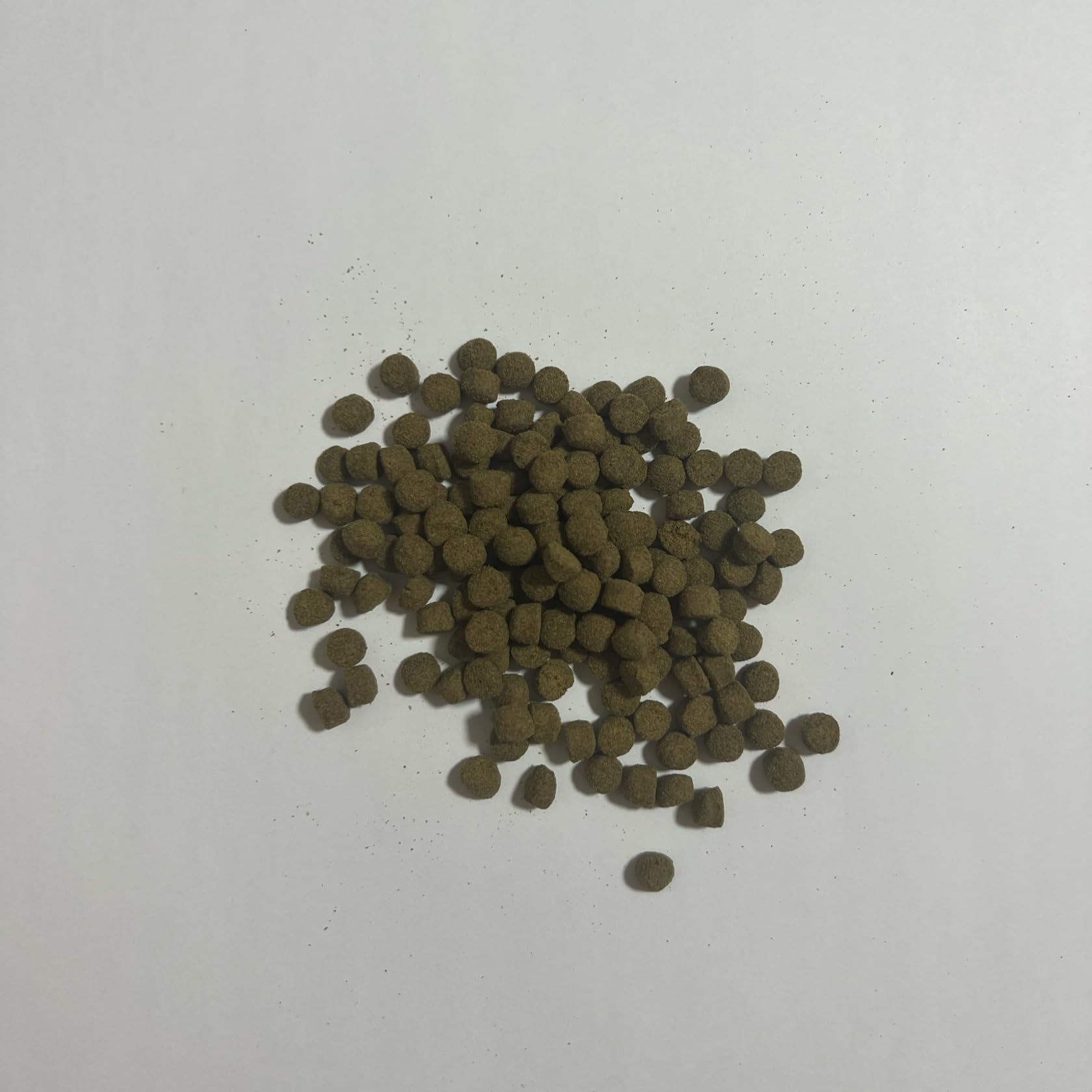 高栄養飼料 おとひめEP６ 5kg アクアリウム 熱帯魚 Amazon.co.jp: 高栄養飼料 おとひめEP6 500g 日清丸紅飼料 熱帯魚