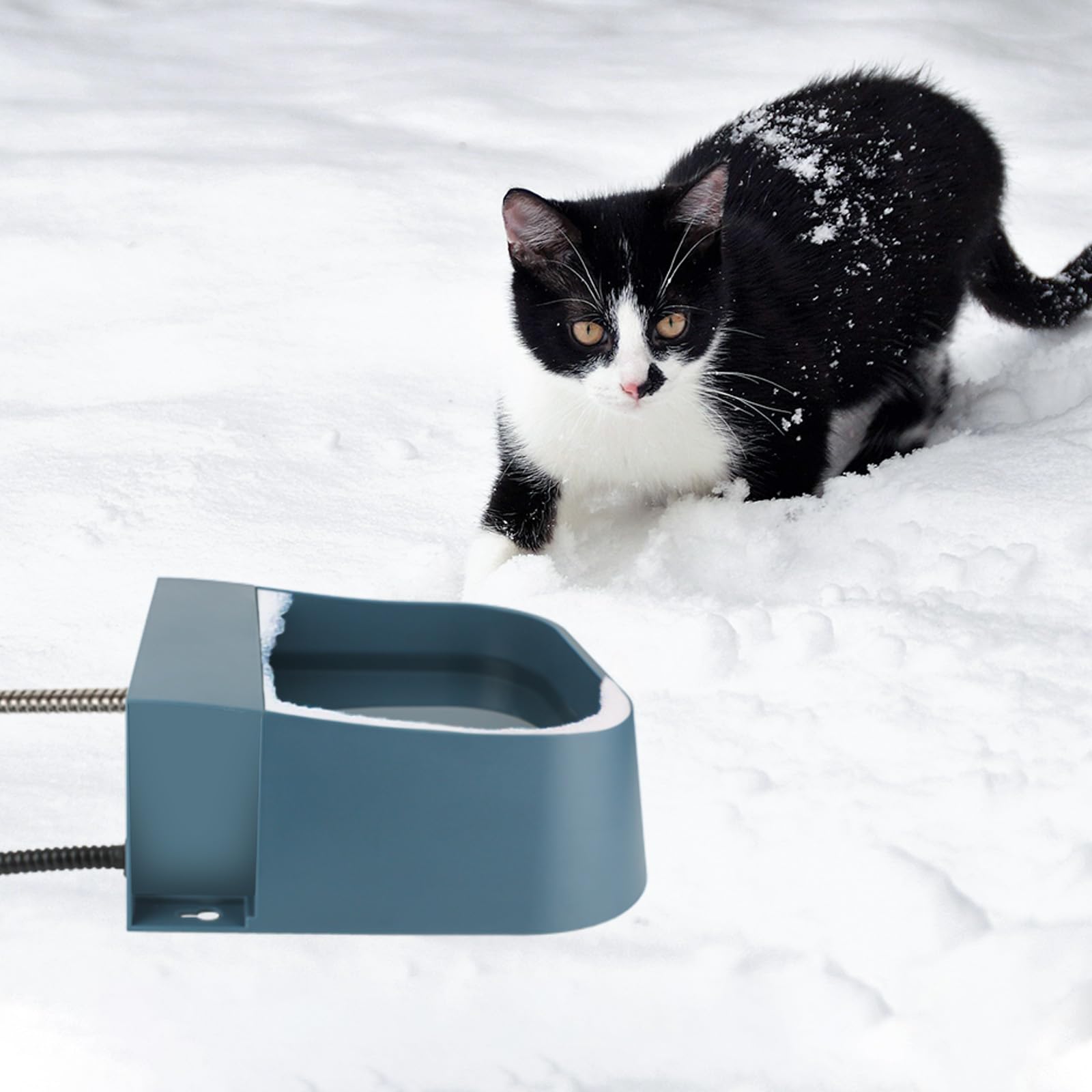 Tazón de agua automático calentado para perros, cuenco de llenado automático para perros calentado, agua automática calentada para perros, gatos, pollos, animales salvajes