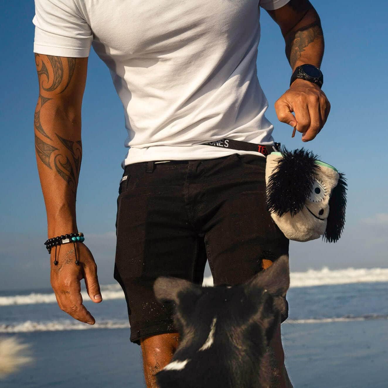 Tequila&Bones Dog Treat Bag Training Pouch, Hands-Free Dog Treat Pouch, Dog Walking Pouch, Waist Bag | Washable Inner Bag | with Belt, Clip & Drawstring Closure (Chester)