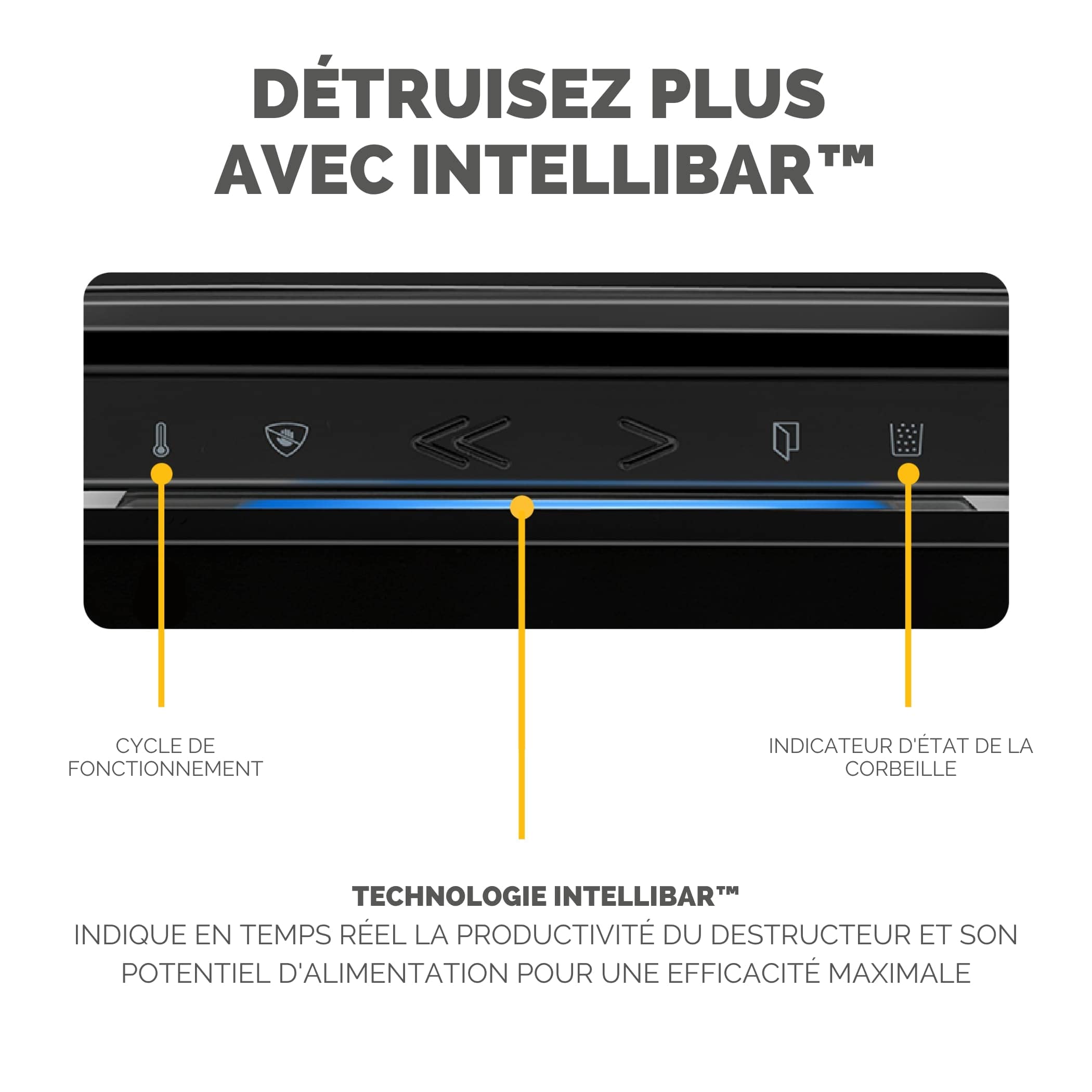 Fellowes Powershred LX201 Destructeur de Documents Coupe Micro 12 Feuilles Technologie SafeSense Noir