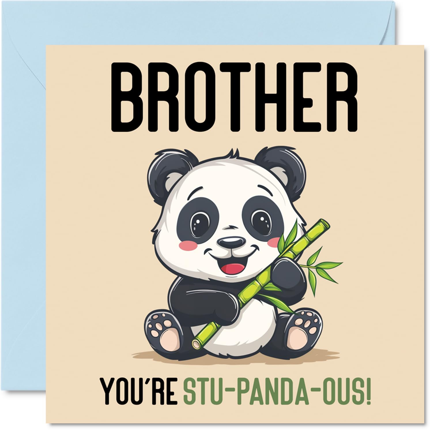 Birthday Cards for Brother - Stu-Panda-ous - Funny Happy Birthday Card for Brother from Sister, Sibling Gifts, 145mm Joke Greeting Cards Men Him