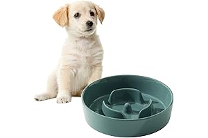 Kiba Pet Supply Slow Feeder Ceramic Dog Bowl: Preventing Bloat and Choking