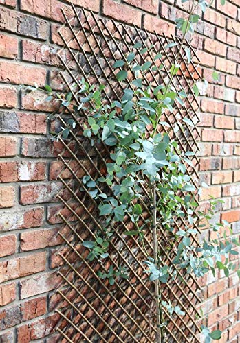 Samuel ALEXANDER Tom Chambers Expanding Willow Panel Large 180cm x 120cm Garden Flower Rose Trellis Support