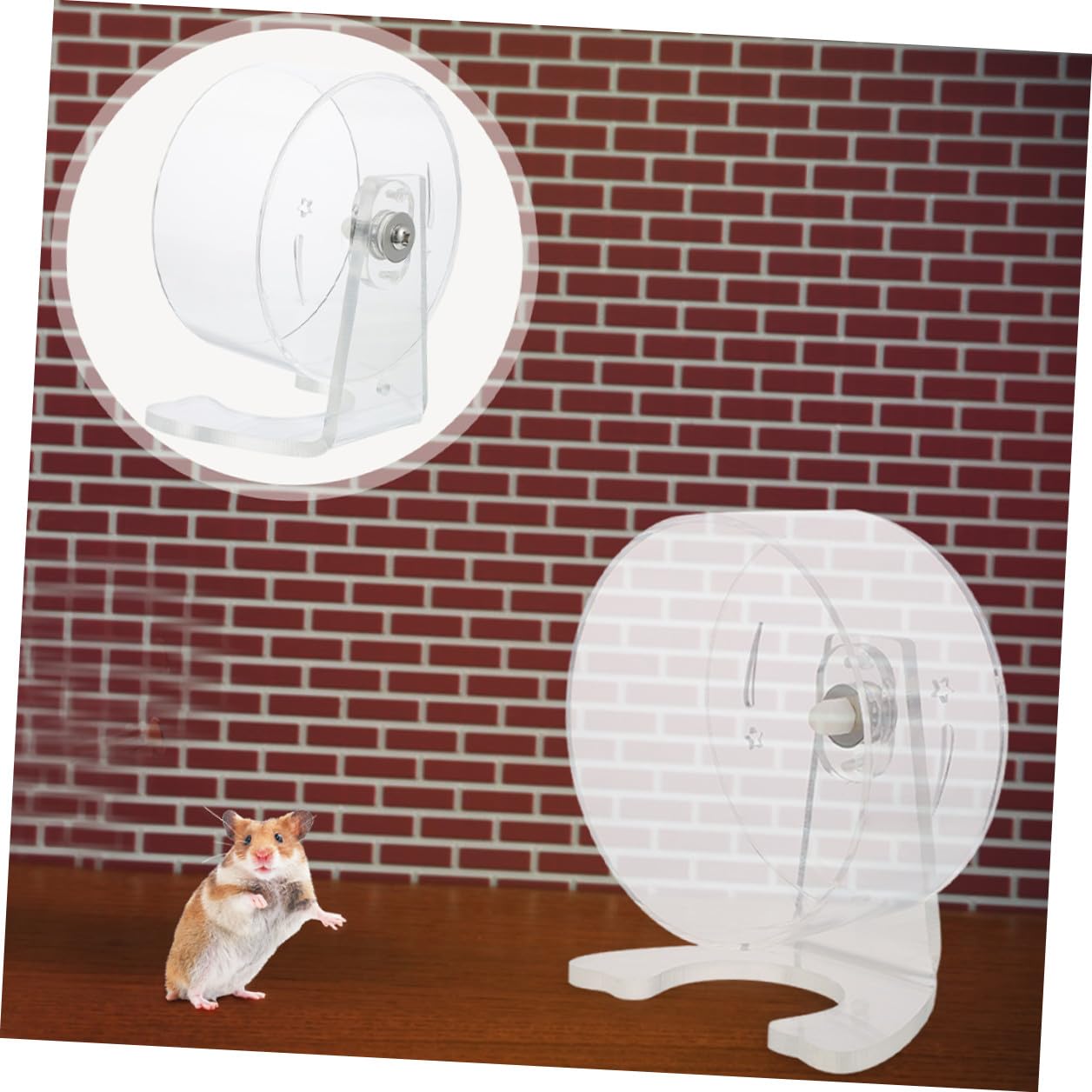 Mikikit Rueda de Ejercicio Silenciosa para Hámster con Soporte Rueda Transparente de 22 CM de Diámetro para Jerbos y Ratones Pequeños Material Plástico Resistente para Jaulas de