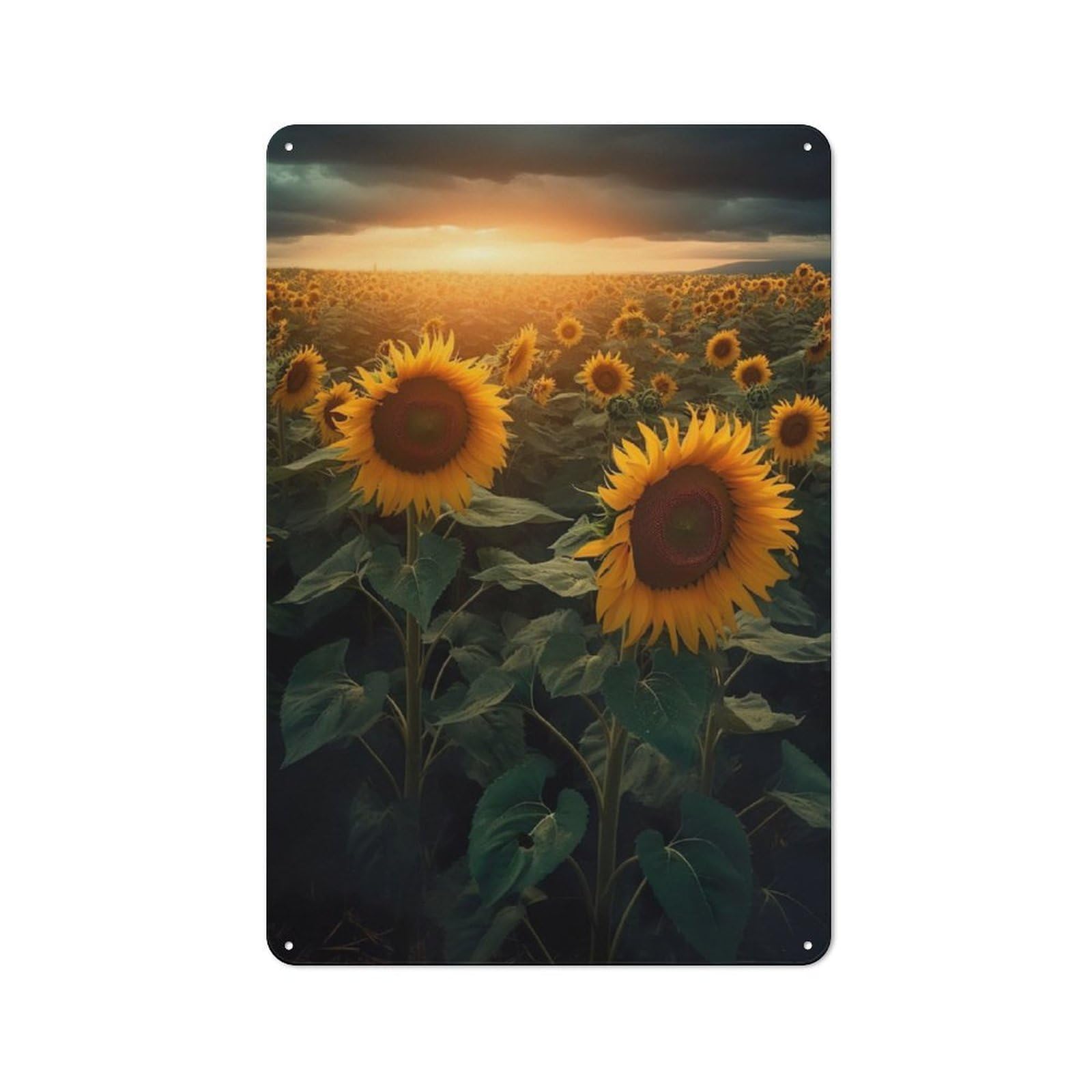 Junmoney Sunflower Field Clouds Retro Printed Metal Sign 30X20cm For Garage Or Workshop, For Garage, Workshop And Man Cave Decoration