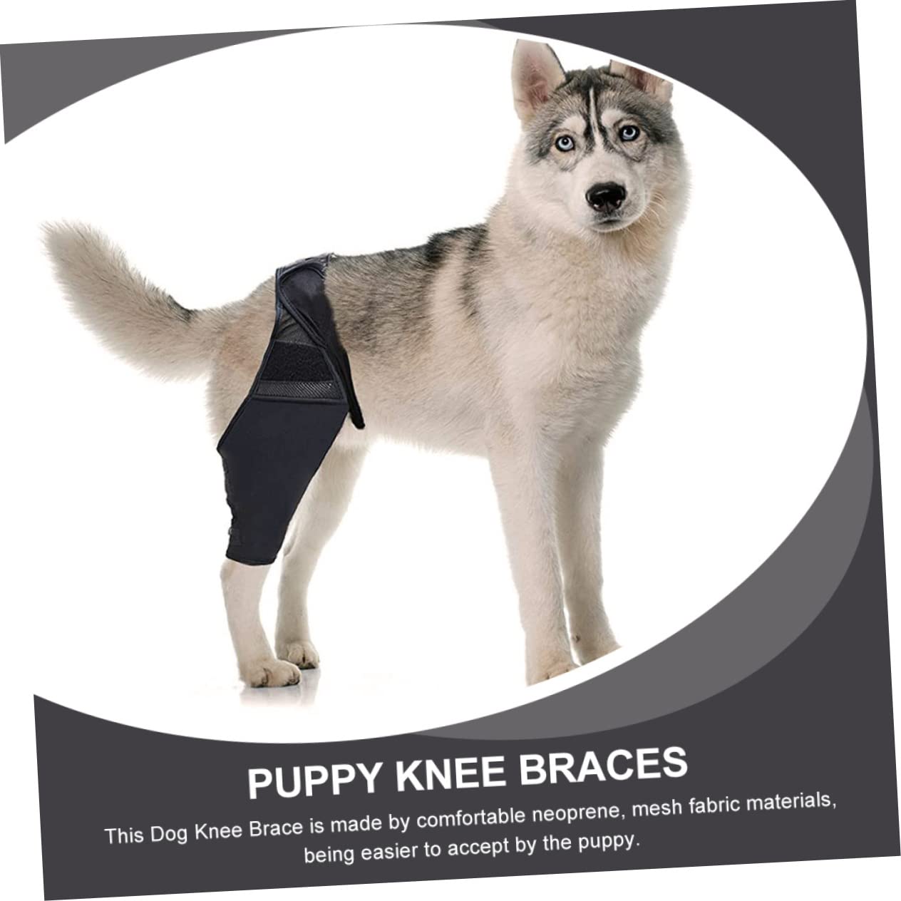 Abaodam 5 Pz per Il Naso del Cane Bende per Cani per Ferite Maniche delle Gambe Articolazione del Cane Zampa Posteriore del Tutore per Cani Manica al Ginocchio Il Cane