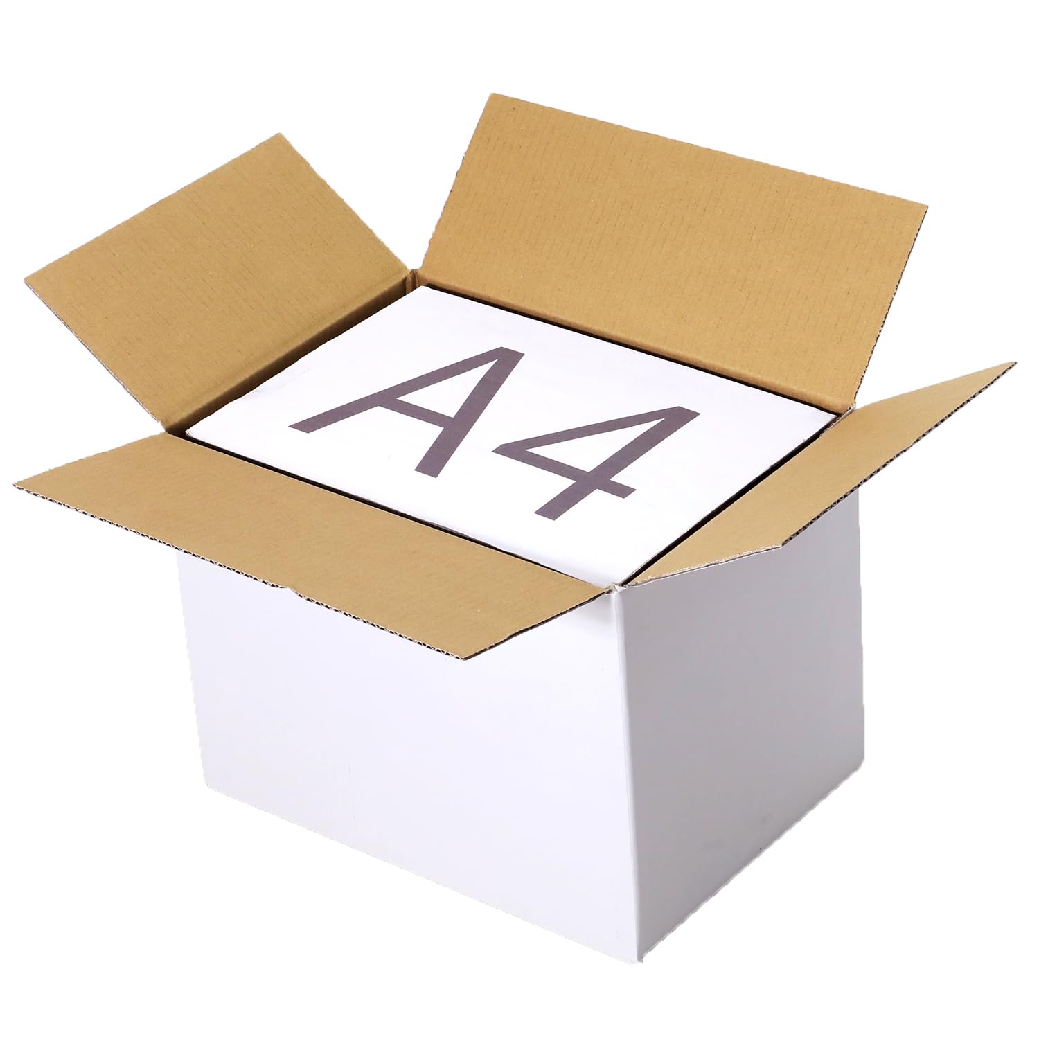 Earth Japanページ Amazon.co.jp: Earth Cardboard, 80 Size, Set of 20, White, A4