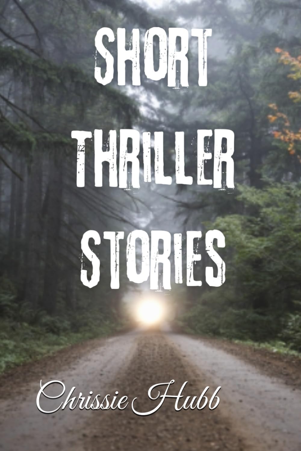 Short Fiction Thrillers (2): 6 (Short Thriller Stories)