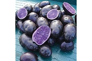 Simply Seed - Purple Majesty - Naturally Grown Seed Potatoes - 3 LB