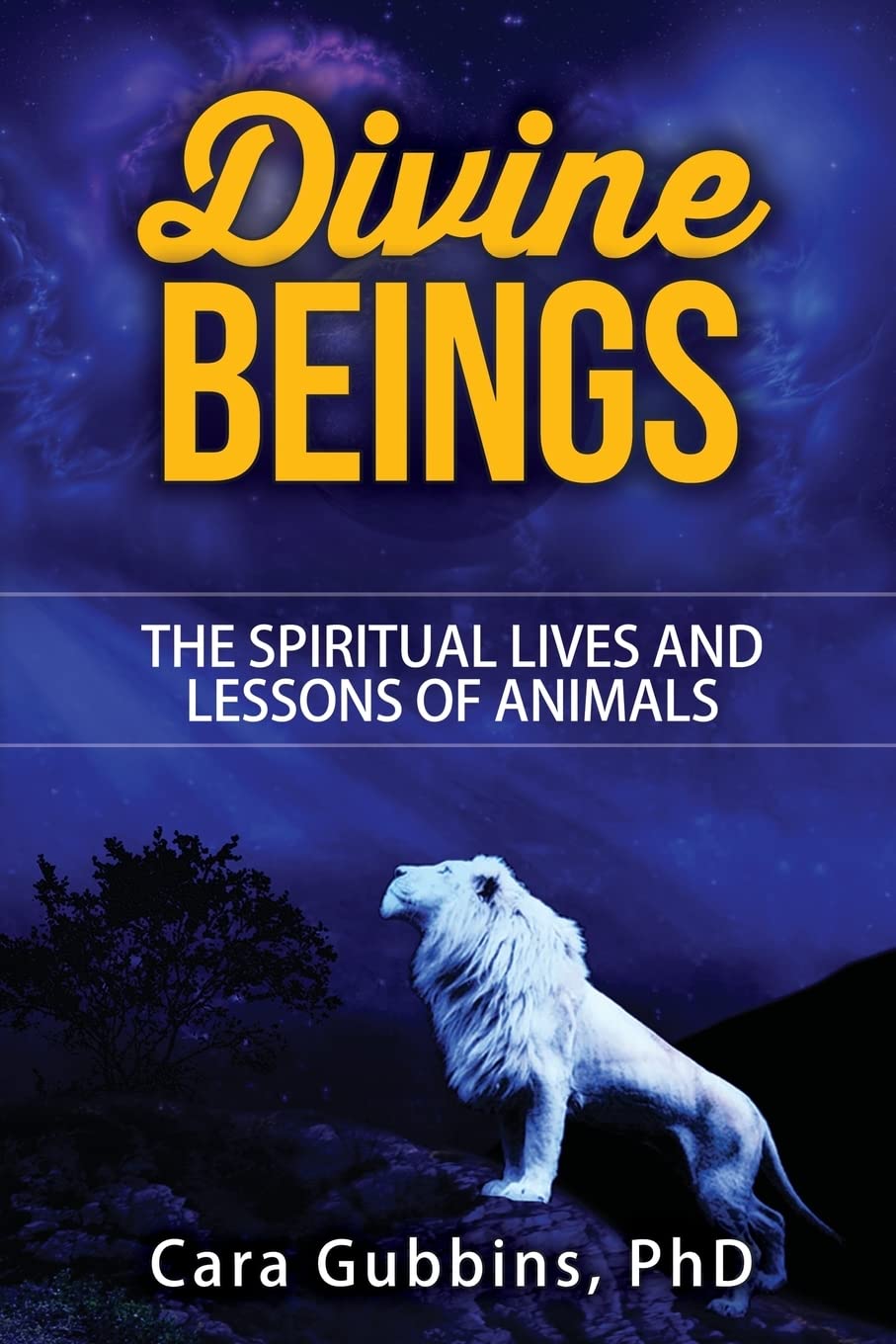Divine Beings: The Spiritual LIves and Lessons of Animals: 3 (Teachings from Animal Totems and Spirit Guides)