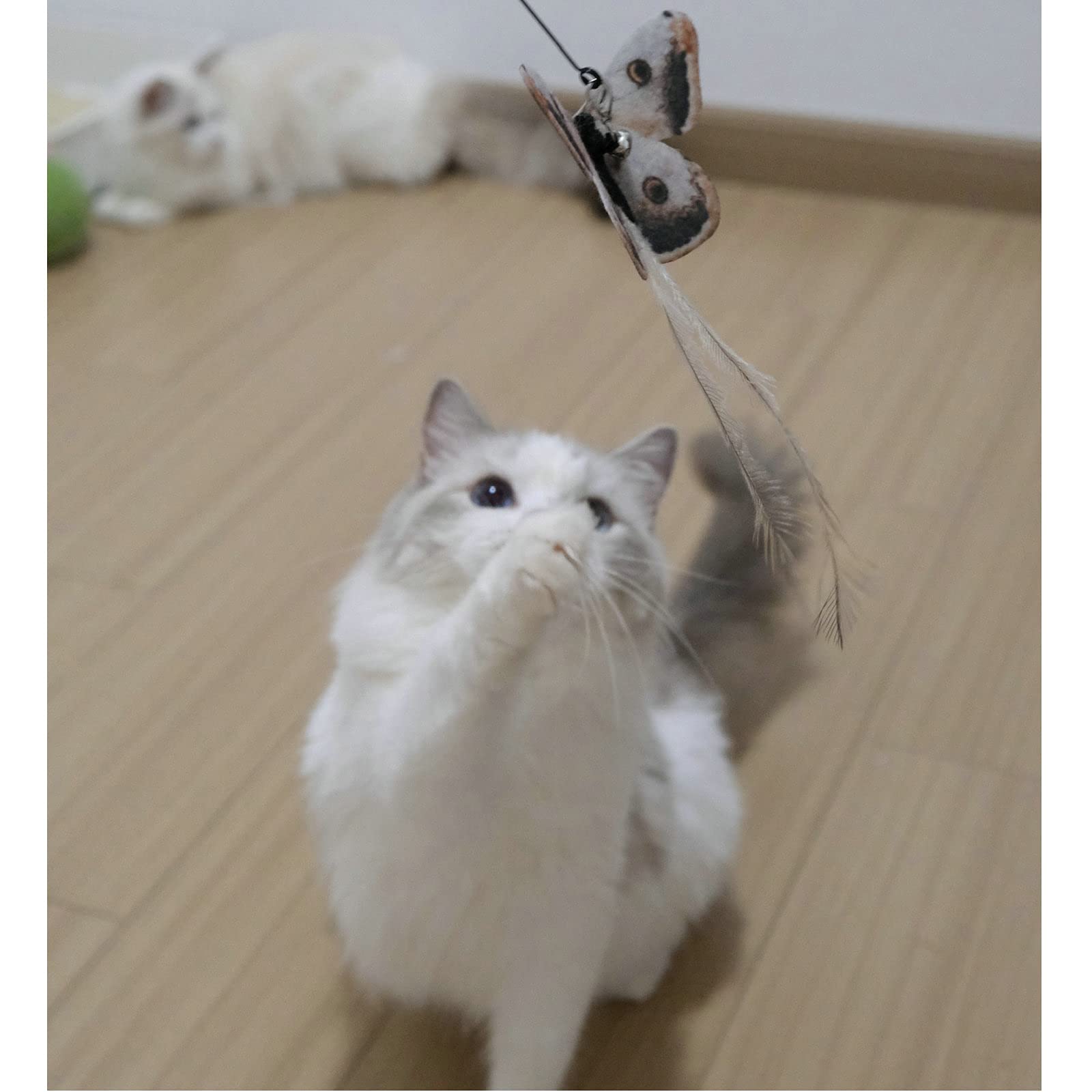 Amazon | 3 of Ni猫 おもちゃ 虫 猫じゃらし ハチ セミ チョウ7