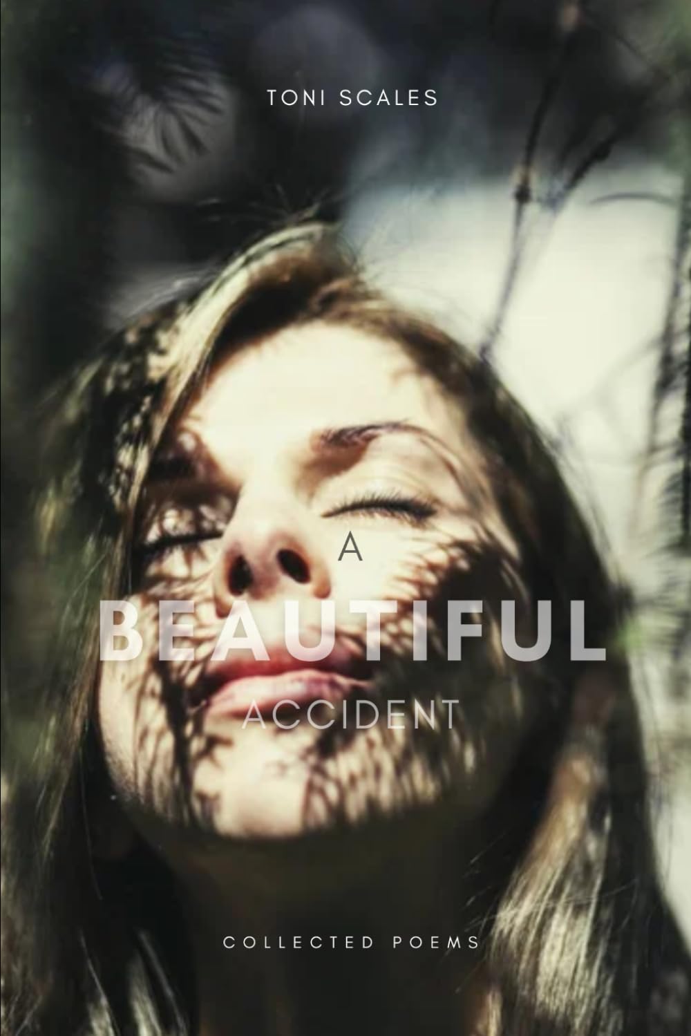 A Beautiful Accident: Collected Poems