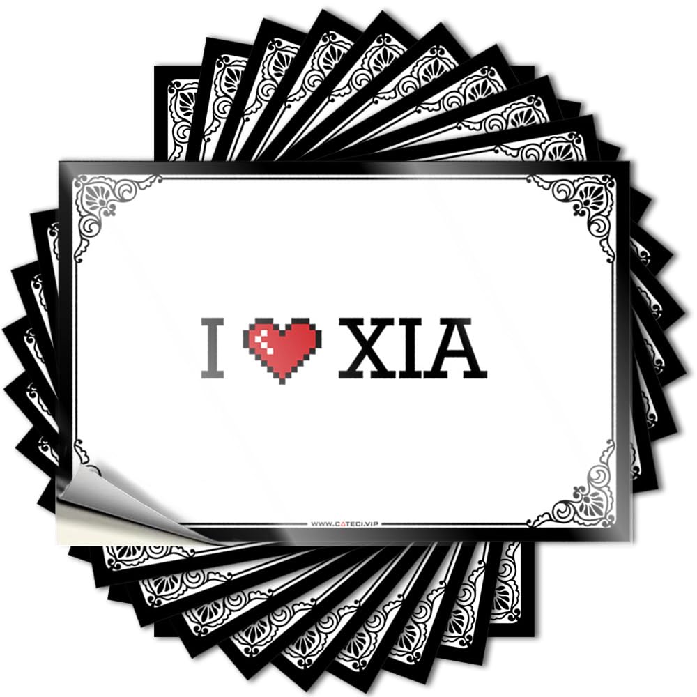 Feminist Decals Aesthetic Decals, Spring Porch Decor Cute Pattern Design for Friends Notebook | Door Removable Vinyl I Love Xia(8X12CM)