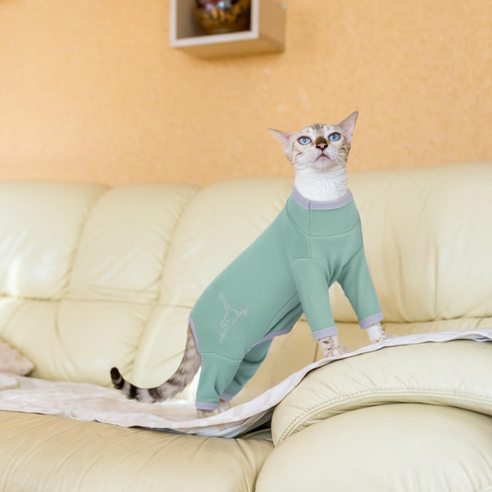 Jersey Gato, Ropa Invierno Sudadera Oara Pijama Camiseta Recuperación Gato Chaleco(Verde Claro, L)