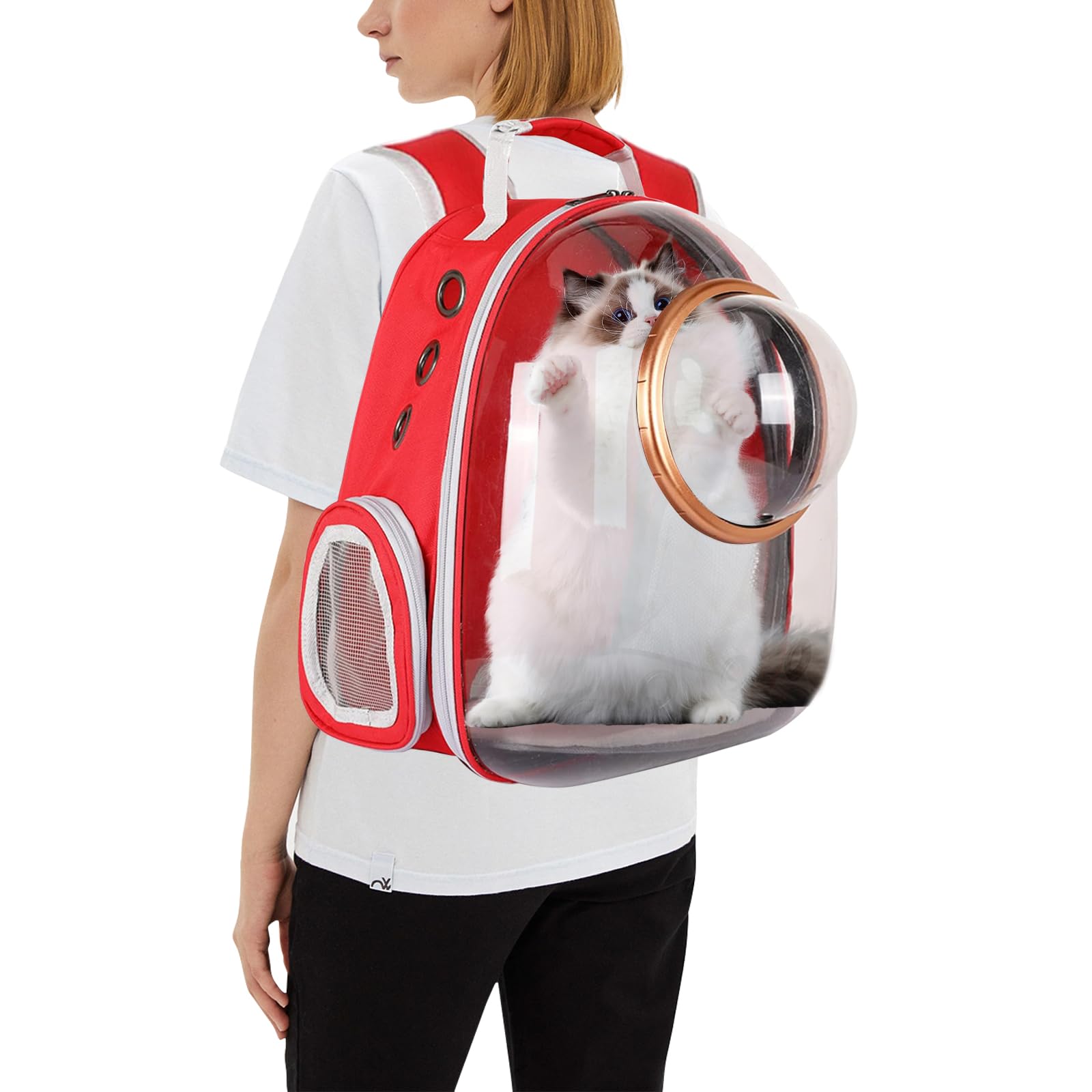 Mochila Transporte Mascotas Con Ruedas PETCUTE - Plegable, Transpirable, Máx. 7.5 Kg, Ventana Transparente - Para Gatos Y Perros Pequeños