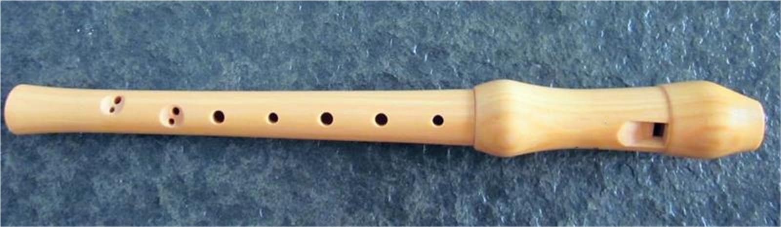 Professionelle 8-Loch-Altblockflöte Aus Holz (Tonart C) Inklusive Tragetasche Holzblockflöte