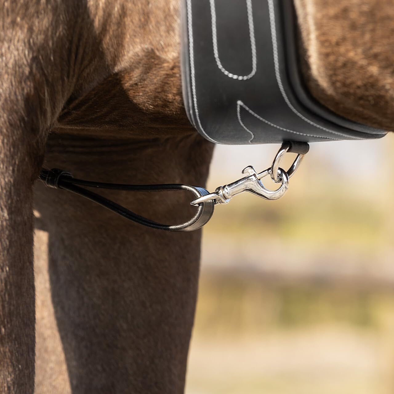 NETPROSHOP Leder Vorderzeug Basic Pro mit Abnehmbarer Martingalgabel Pony Cob Full, Groesse:Full, Farbe:Schwarz
