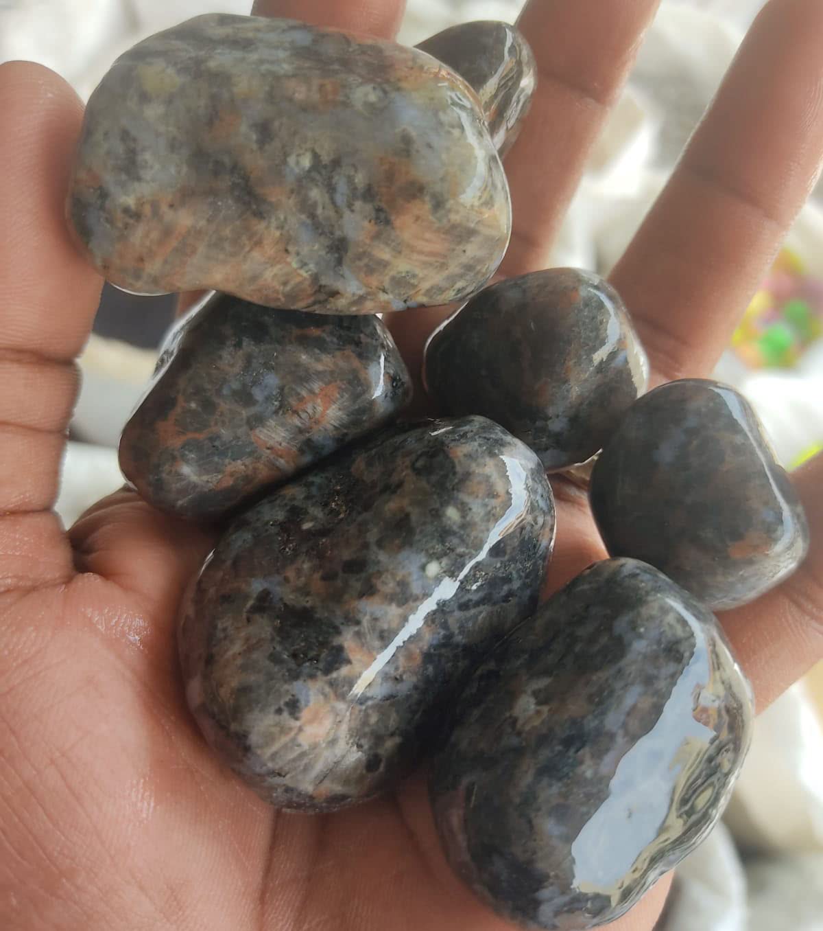 See full amazon price history chart for COLOURFUL AQUARIUM™ - Double Polished Pebbles Decorative Stone for Home/Garden/Lawn/Aquarium Decoration (#M210 - Black & Brown, 950g) COLOURFUL AQUARIUM™ - Double Polished Pebbles Decorative Stone for Home/Garden/Lawn/Aquarium Decoration (#M210 - Black & Brown, 950g) (B09MDKNMHR) Amazon Price History, Amazon Price Tracker