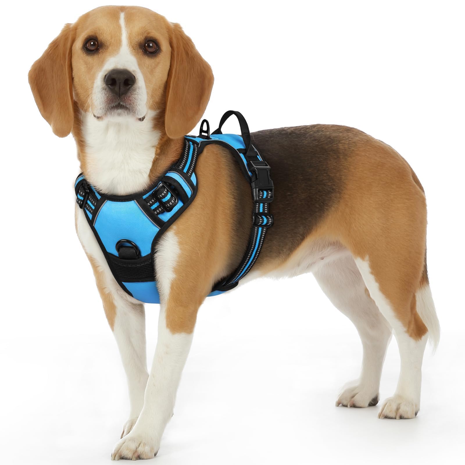 Eagloo Dog Harness for Small Dogs, No Pull Pet Vest with 2 Leash Clips