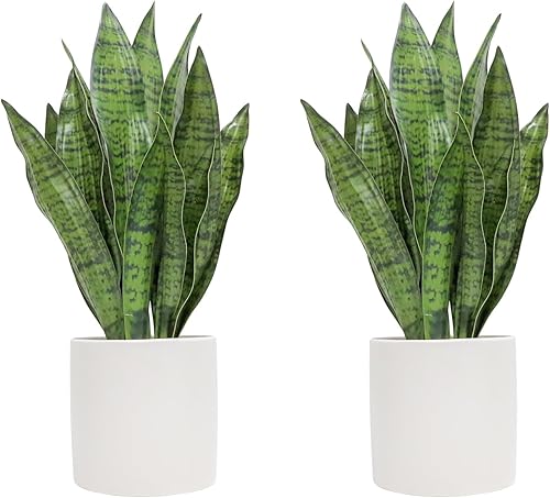 Anewsun Juego de 2 plantas artificiales de serpiente sintética de 18 pulgadas con macetas de cerámica blanca pura, Sansevieria falsa para decoración