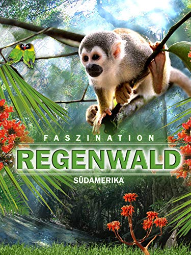 Faszination Südamerika Regenwald
