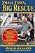 Small Town, Big Rescue: A Motorcycle Rider's Amazing Story of Rescue, Recovery and Faith in a Colorado Mountain Town