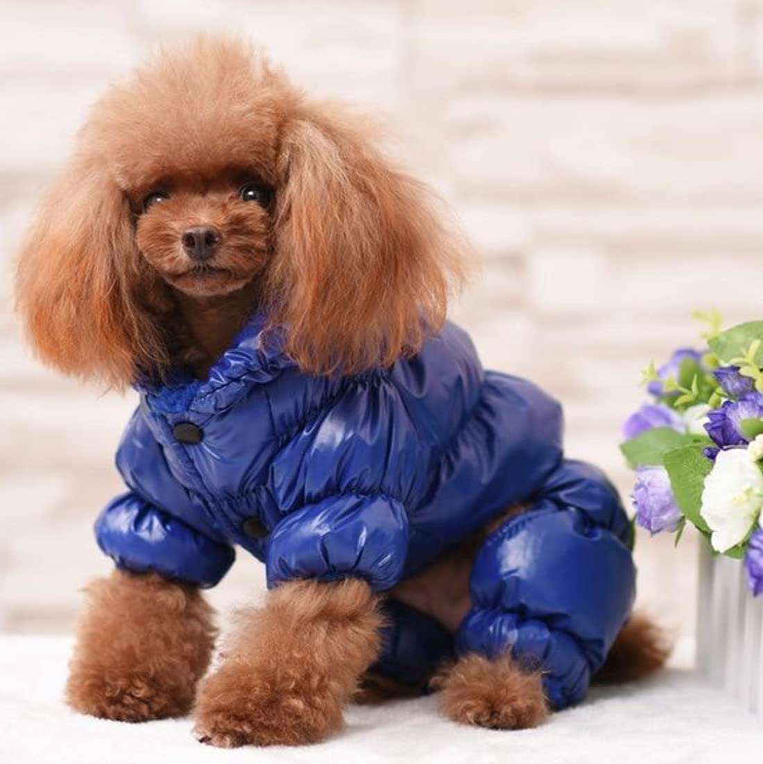 Combinaison pour chien bleu XXS vêtement Doggie Style Store