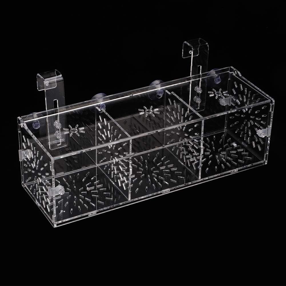 Fish Breeding Isolation Box Aquarium Acclimation Hatchery Incubator Acrylic Transparent Aquarium Hatchery Incubator Holder(30CM*10CM*10CM)