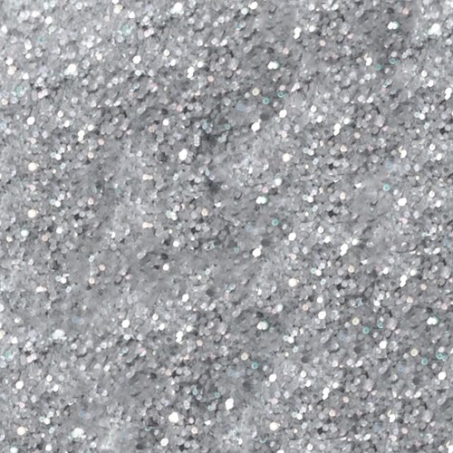 Non-Toxic Disco Dust, 16 Grams - Silver