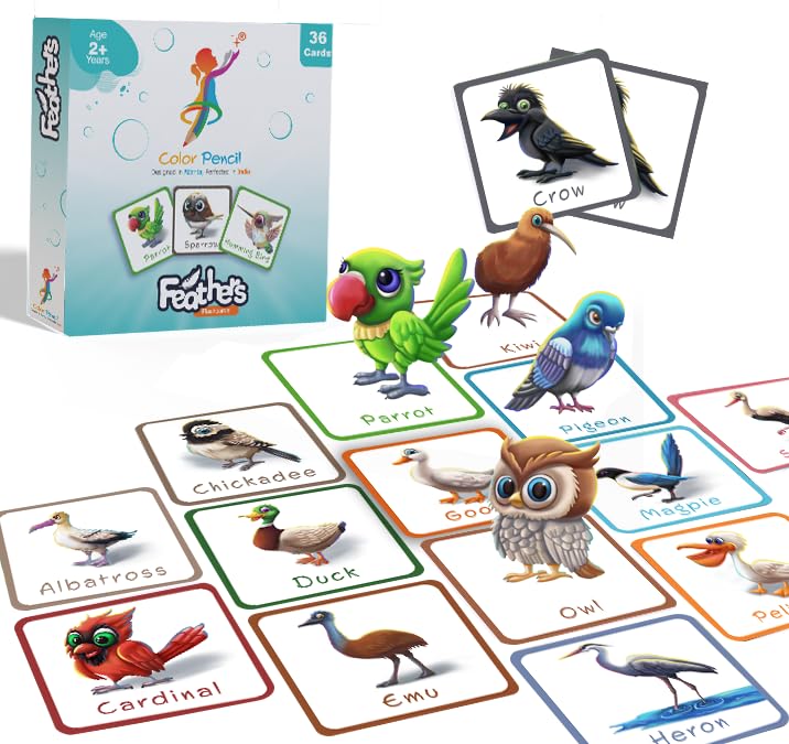 Color Pencil Feathers Flashcards - 36 Cards in a Box | Learn About Bird Feathers & Ornithology | Educational Gift for Kids Ages 2-4 | Baby Learning