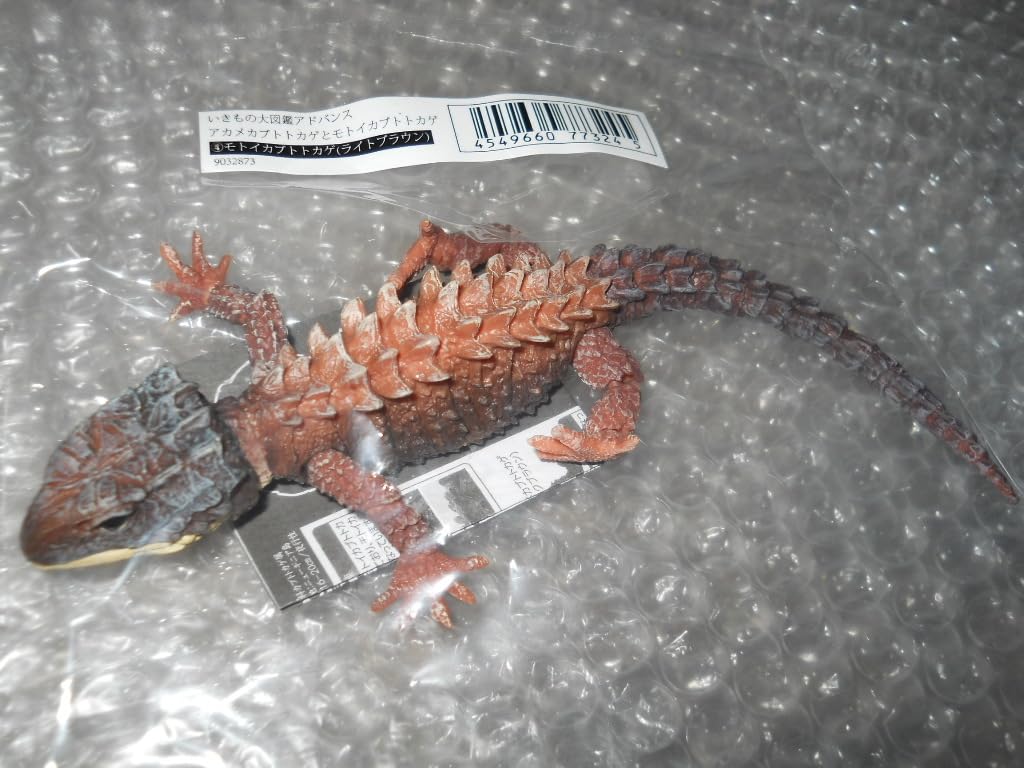 Amazon.co.jp: いきもの大図鑑アドバンス アカメカブトトカゲ (2