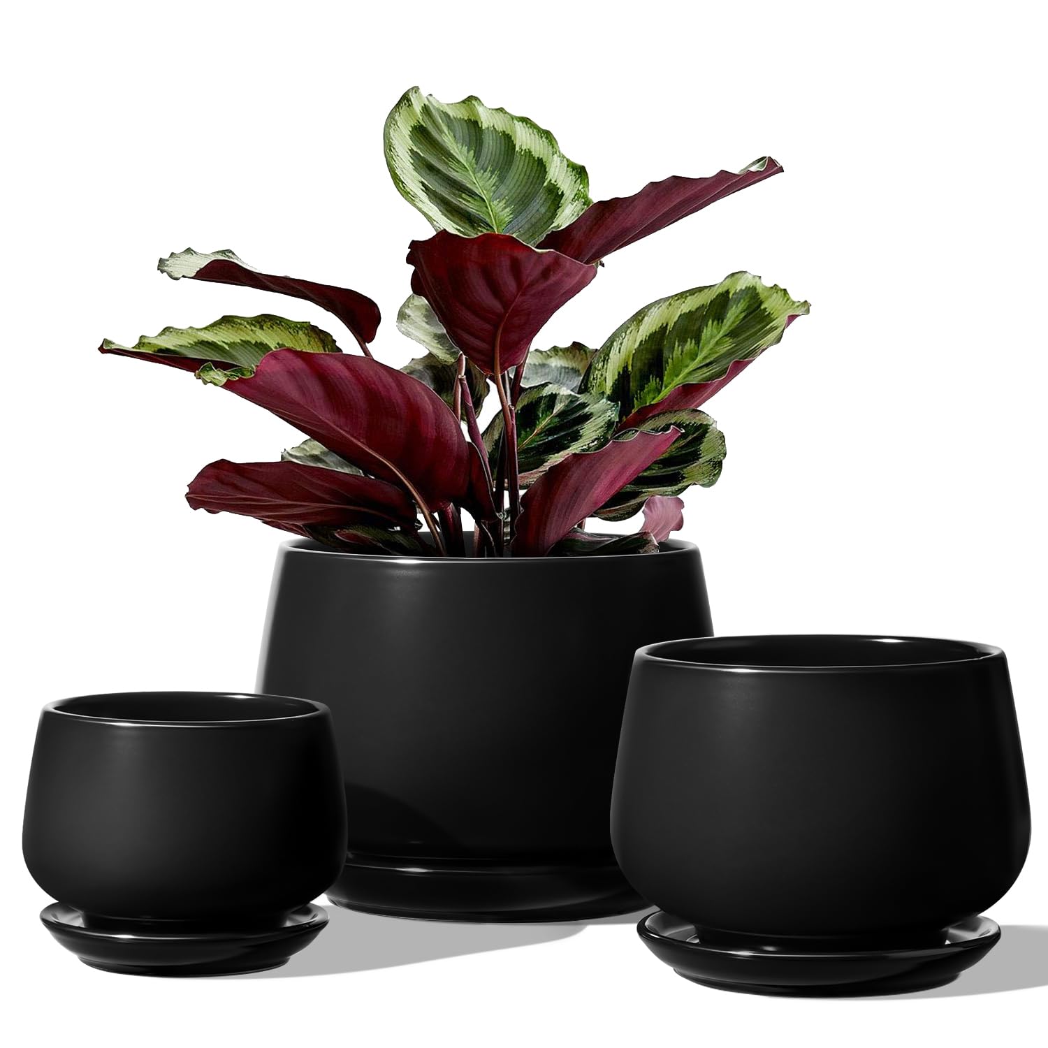 LE TAUCI Plant Pots, 4.1+5.1+6.5 inch, Set of 3, Ceramic Planters with Drainage Hole and Saucer, Indoor Flower Pot with Hole Mesh Pad, Gifts for Mom, Black