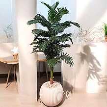 Artificial Areca Palm, 150 cm, with White Acrylic Bowl