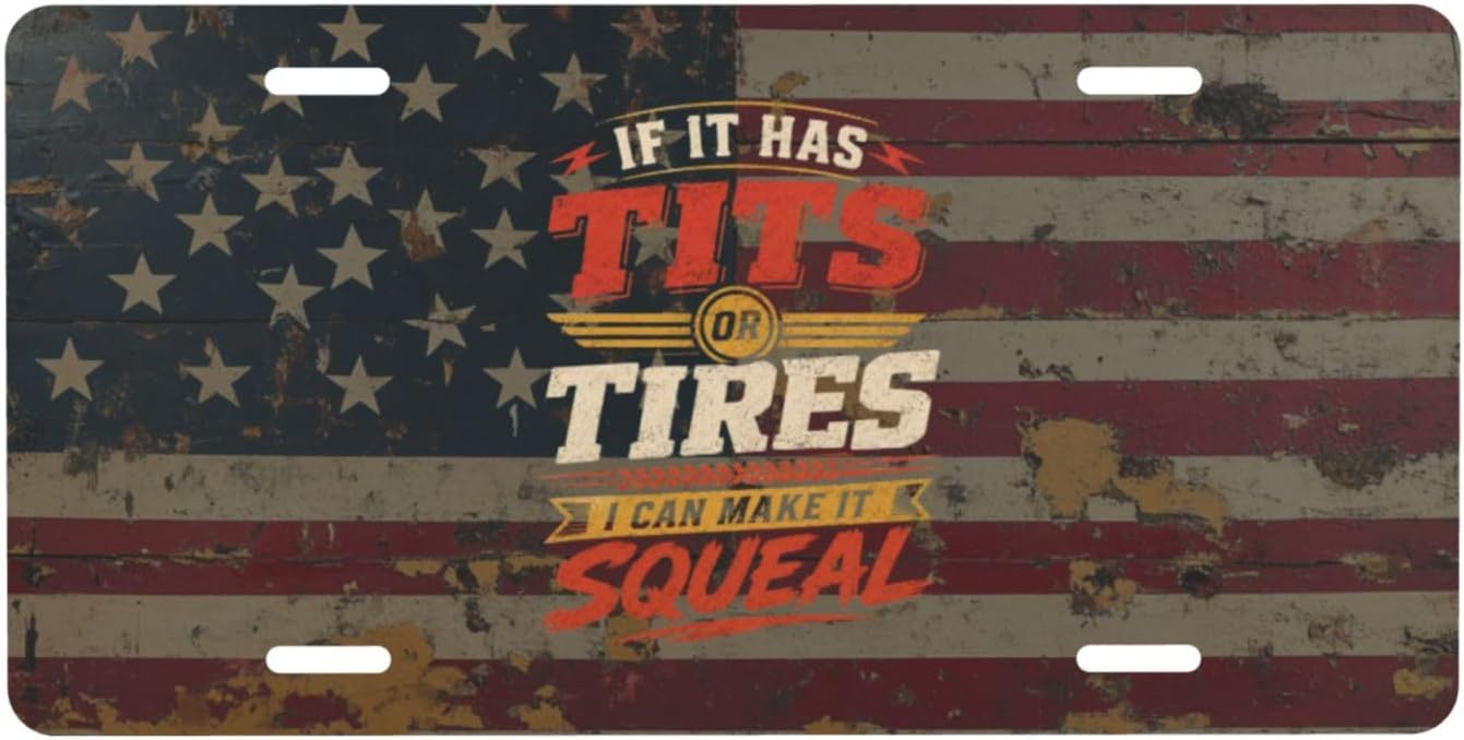 IF IT HAS Tits OR Tires I CAN Make IT Squeal Metal Automotive Plate Funny Sign for Decoration Accessory 6 X 12 Inch image 2