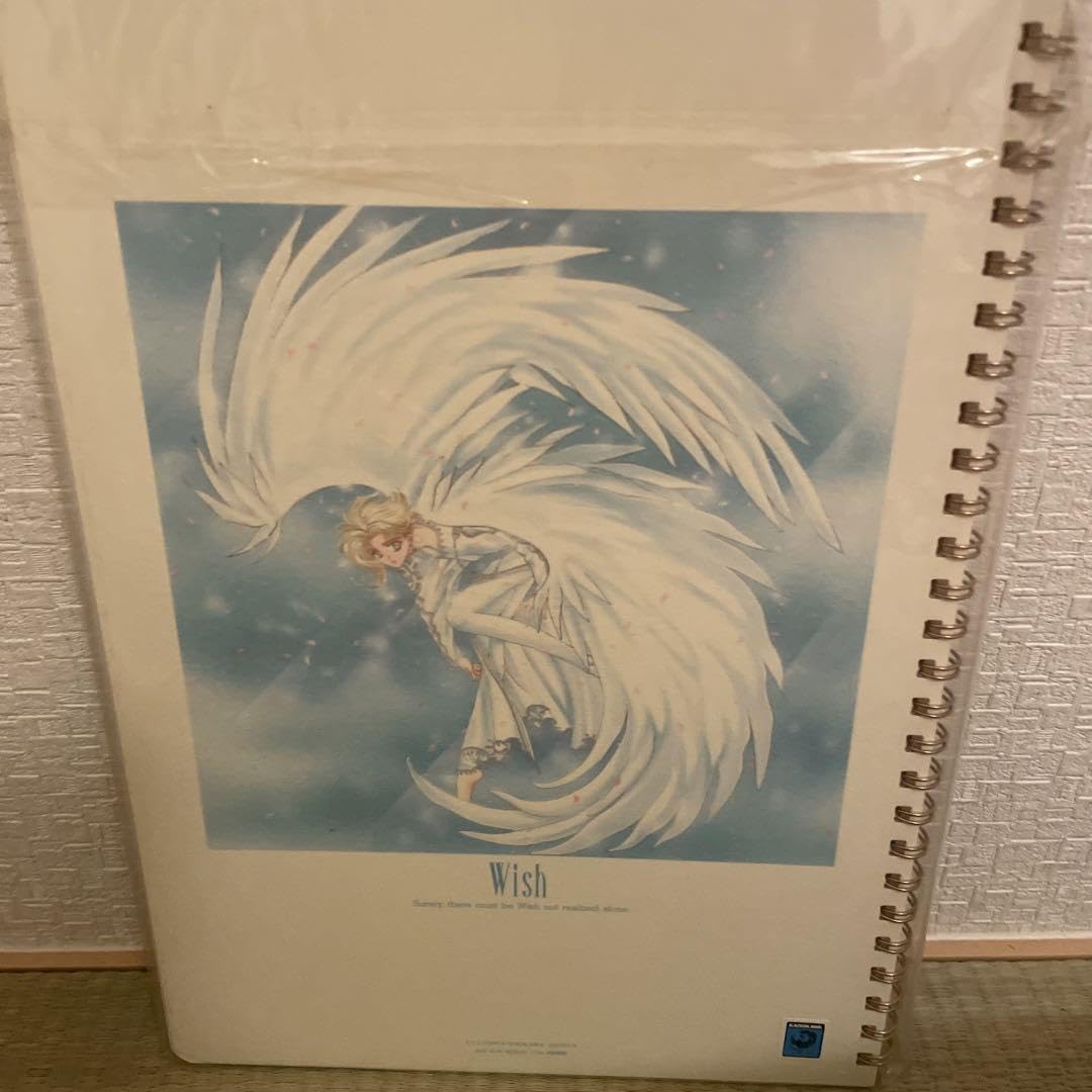 CLAMP『X　(エックス)下敷き・リングノート・クリアファイル・パンフレット』 Amazon.co.jp: CLAMP Wish クリアファイル リングノート 下敷き2枚