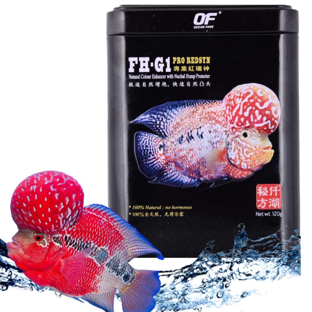 See full amazon price history chart for VAYINATO Ocean Free Fh-G1 Pro Redsyn(Original)Flower Horn Fish Food,120G|Natural Colour Enhancer With Nuchal Hump Promoter VAYINATO Ocean Free Fh-G1 Pro Redsyn(Original)Flower Horn Fish Food,120G|Natural Colour Enhancer With Nuchal Hump Promoter (B0B7DKKCL5) Amazon Price History, Amazon Price Tracker