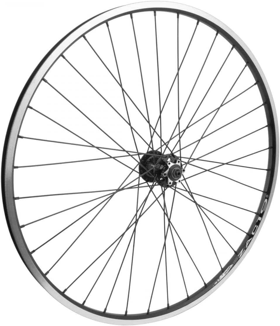 Wheel Masters Wheel FT 29" 700x35 622x19 Weinmann ZAC19 Black MSW 36 MT2000 6B QR Black 12GSS - 641031
