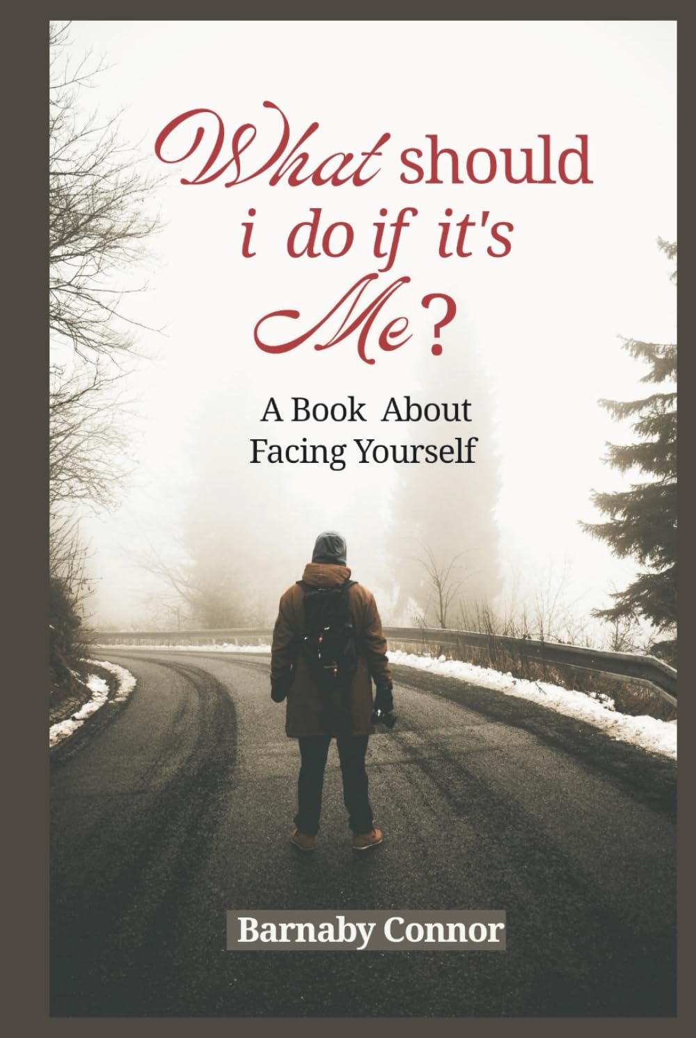 What Should I Do If It's Me?: A Book About Facing Yourself