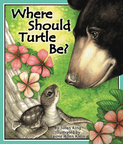 Where Should Turtle Be?