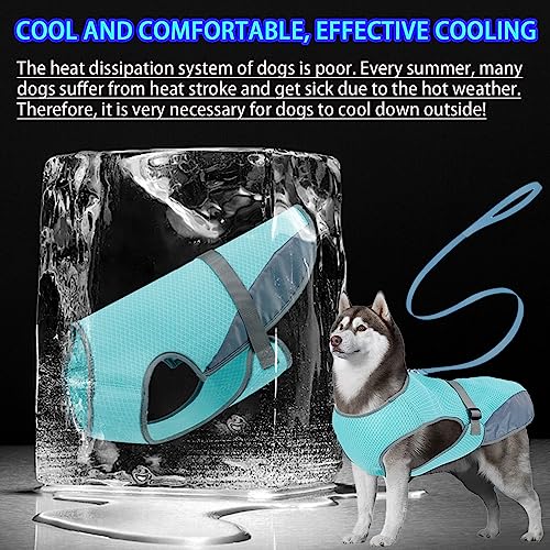 DKDDSSS Hundekühlweste, Atmungsaktiv Sommer Cooler Hundejacke, Hund Kühlweste, Cooler Komfortabler Hundemantel, für Kleine Bis Mittelgroße Hunde Aktivitäten Draußen Training (Blue, L)