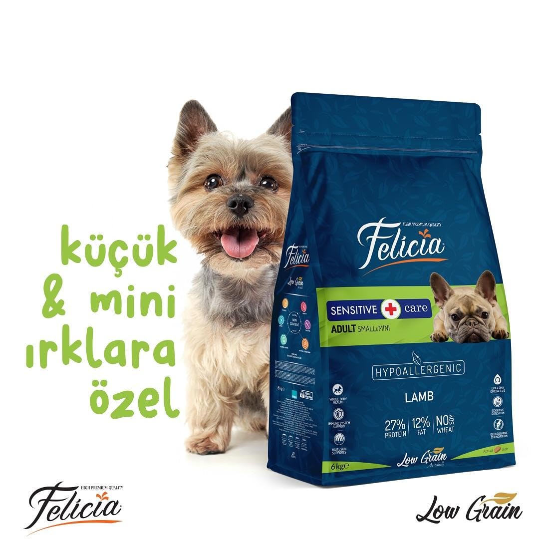 Felicia Az Tahıllı 6 Kg Yetişkin Kuzulu Small/Mini HypoAllergenic Köpek Maması