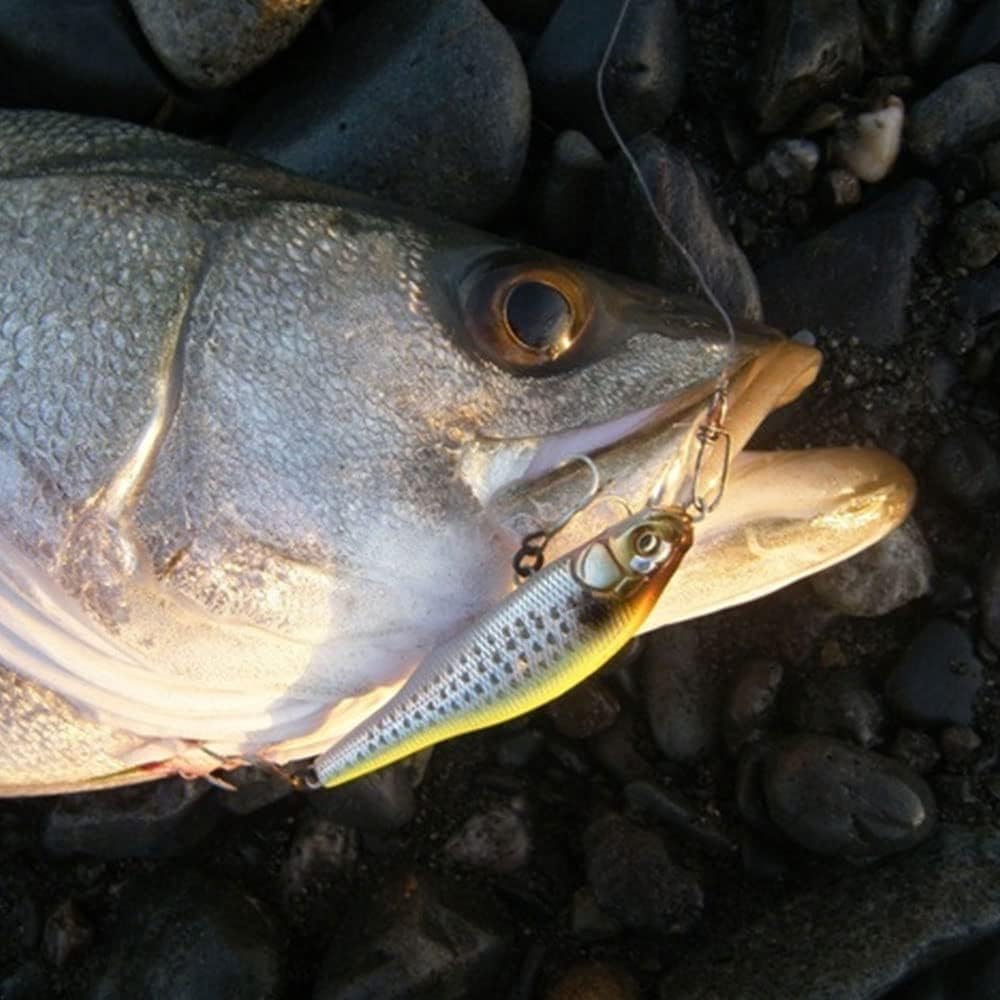 メガバス(Megabass) ルアー X-80SW