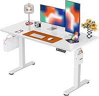 ErGear 48x24 Electric Standing Desk: Height Adjustable Sit-Stand Home Office Desk with Memory Presets, Stable Steel Frame (White)