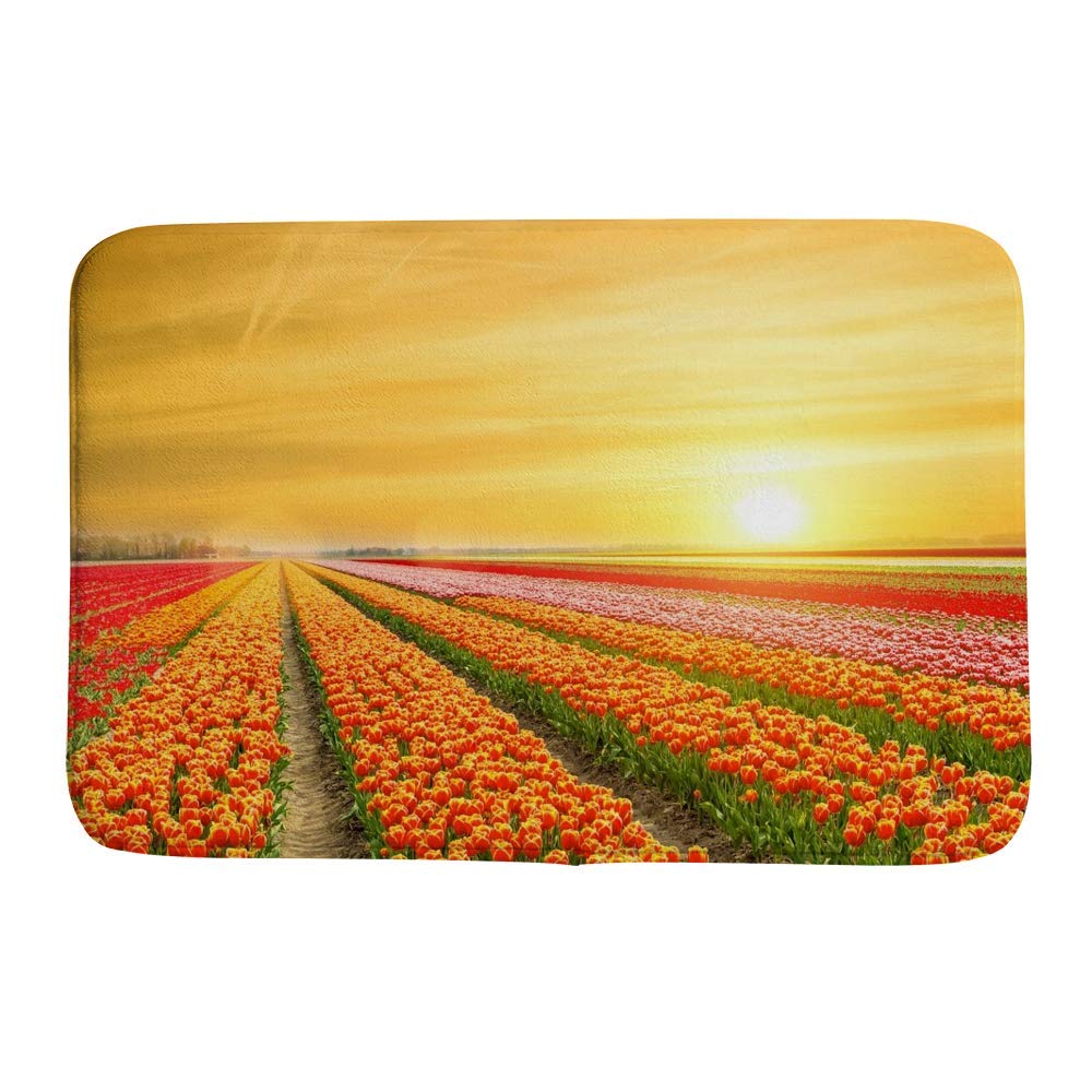Tapis de bain microfibre antidérapant polaire corail douche absorbant lavable