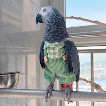 Bird Clothes - Handmade Retro Overalls for Parrots African Greys Parakeet Cockatiel Sun Conure Christmas Halloween Cosplay Apparel Bird Supplies (Green,XS)
