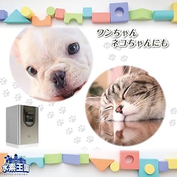 Amazon | 水素吸入器セレクトエアー・ミニ150 水素と酸素を